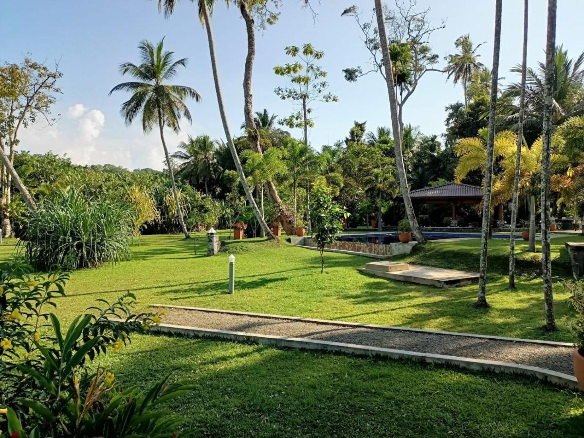 Avalon Village Resort Индурува Экстерьер фото