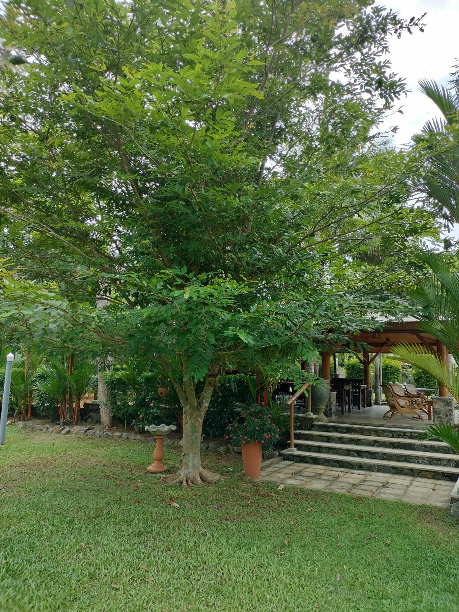 Avalon Village Resort Индурува Экстерьер фото