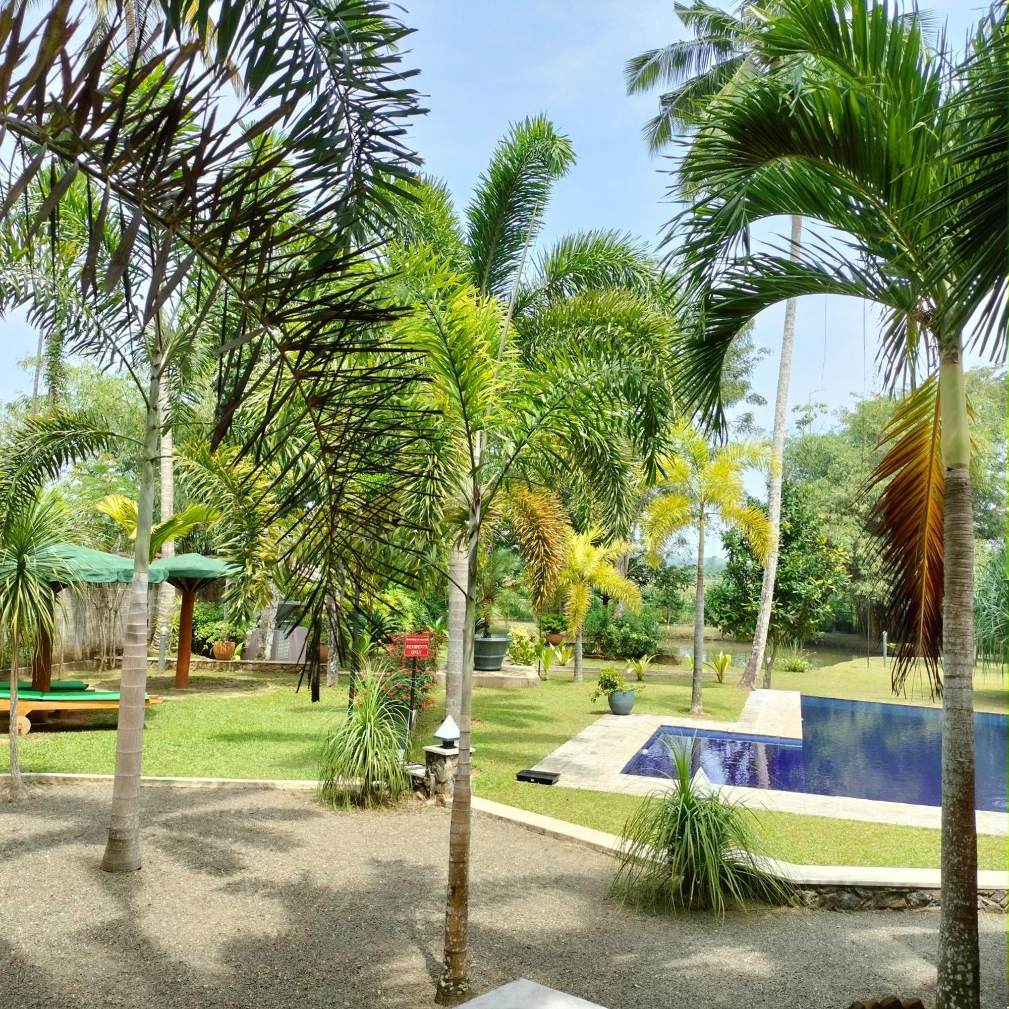 Avalon Village Resort Индурува Экстерьер фото